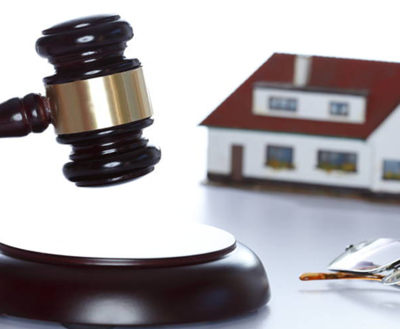 拍賣業(yè)務(wù)概述與查詢指南